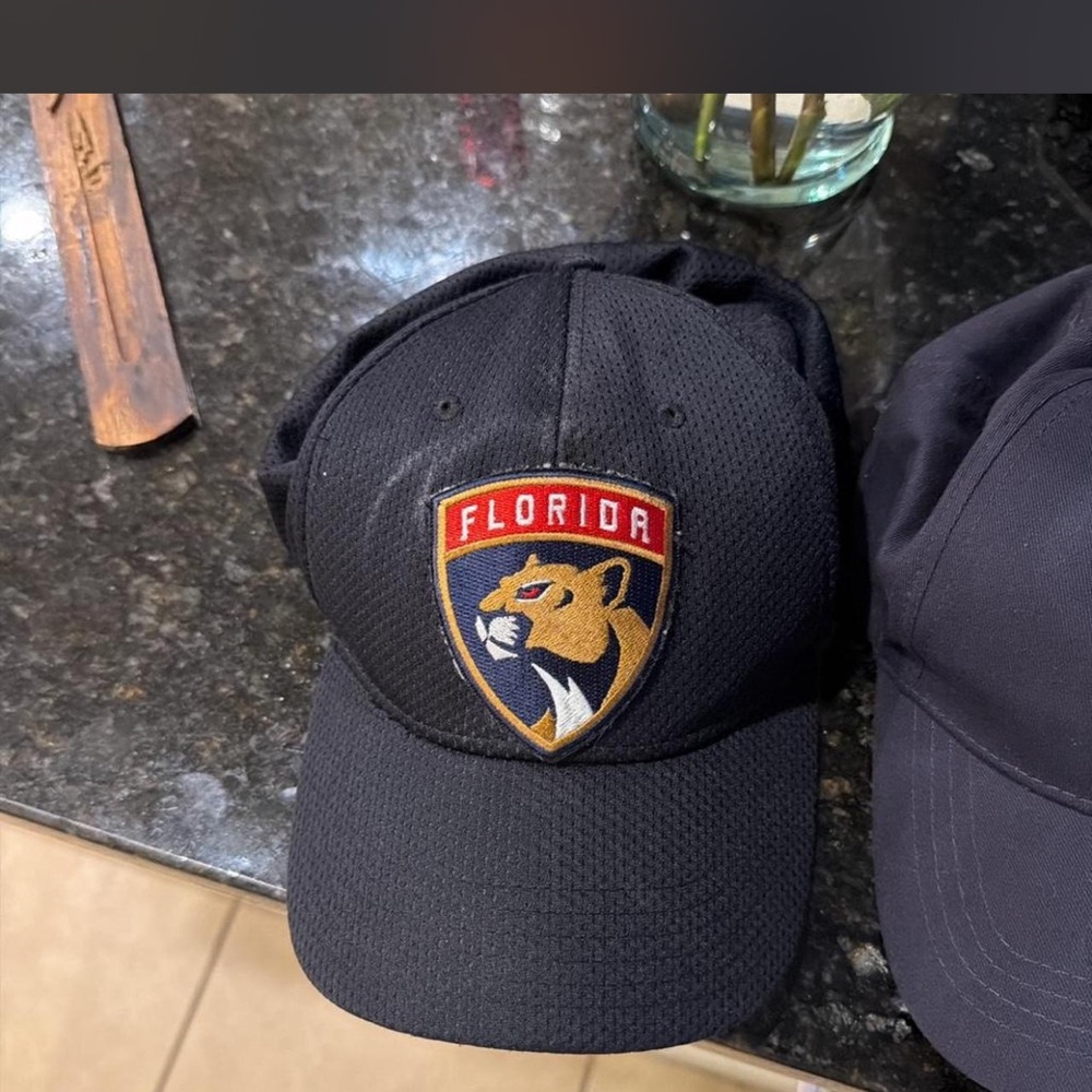 NWOT Florida Panthers Black Cap OR a hat